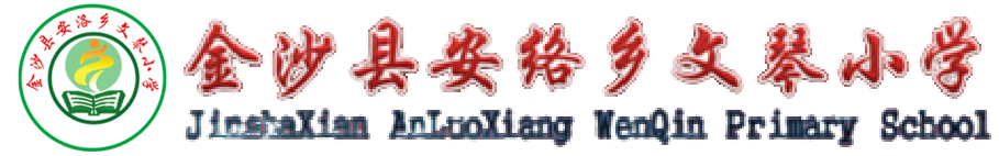 金沙县安洛乡文琴小学-官方网站